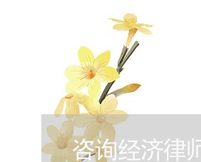 咨询经济律师免费解答/2023032595846