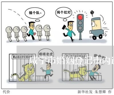 咸宁市婚姻登记市内通办的吗/2023112829380