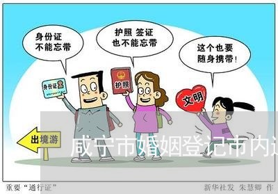 咸宁市婚姻登记市内通办的吗/2023112896158