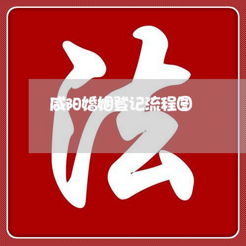 咸阳婚姻登记流程图/2023112837060