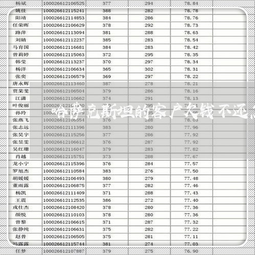 哈萨克斯坦的客户欠钱不还怎么办/2023120560503