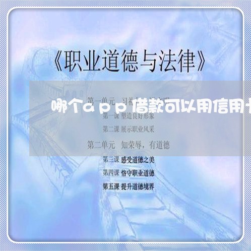 哪个app借款可以用信用卡还的/2023081368480