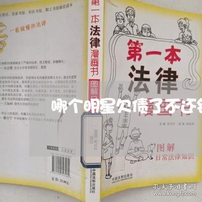 哪个明星欠债了不还钱被抓/2023092232473