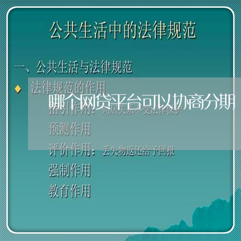 哪个网贷平台可以协商分期/2023102529260