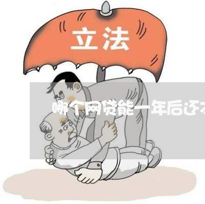 哪个网贷能一年后还本还息/2023112463826