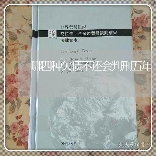 哪四种欠债不还会判刑五年/2023110824814