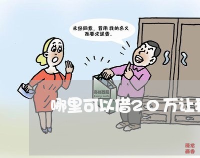 哪里可以借20万让我还网贷呢/2023112351795