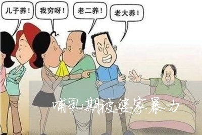 哺乳期被婆家暴力/2023101438260