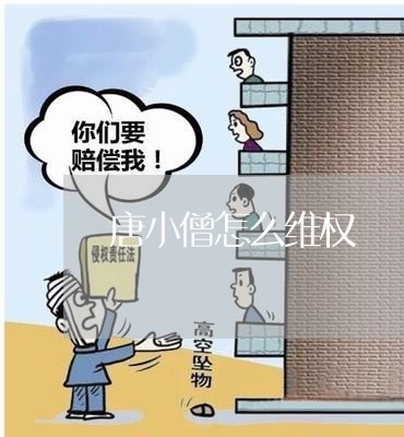 唐小僧怎么维权/2023042058462