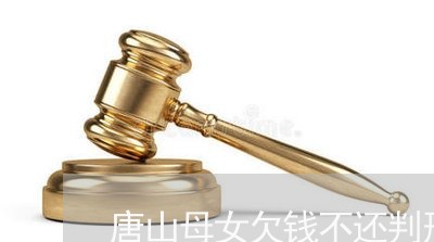 唐山母女欠钱不还判刑案例/2023103149369