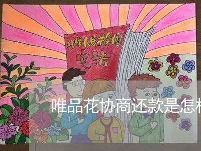 唯品花协商还款是怎样还/2023100651435