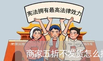 商家五折不发货怎么投诉/2023022414827