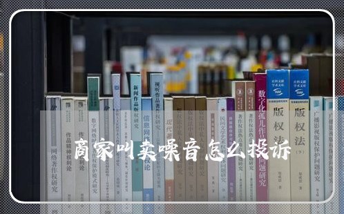 商家叫卖噪音怎么投诉/2023022846364