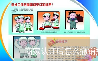 商家认证后怎么撤销投诉/2023030537474