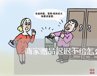 商家赠品迟迟不给怎么投诉/2023030150606