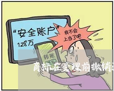 商标在受理前撤销退费吗/2023052093927