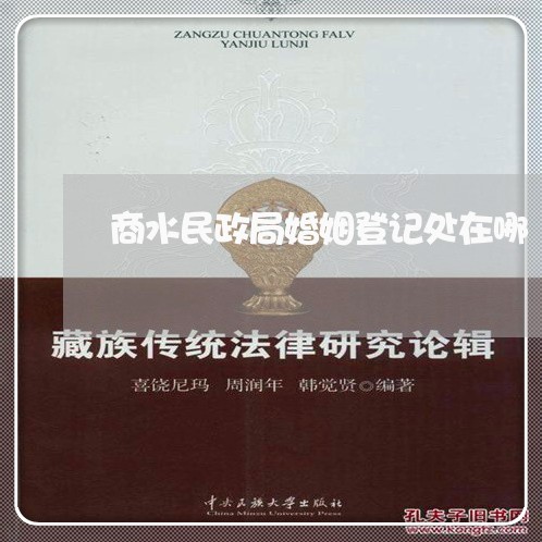 商水民政局婚姻登记处在哪/2023112711513