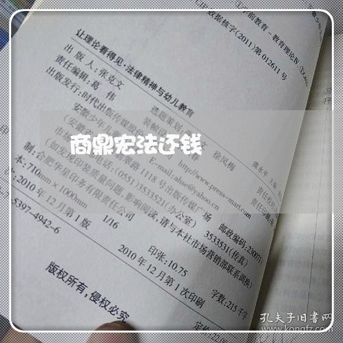 商鼎宏法还钱/2023100942594