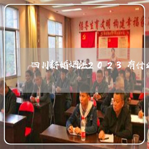 四川新婚姻法2023有什么好处/2023112488171