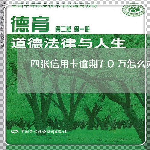 四张信用卡逾期70万怎么办/2023050493924