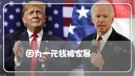 因为一元钱被家暴/2023101460592