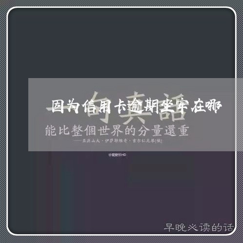 因为信用卡逾期坐牢在哪/2023112505138