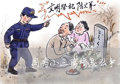 因为小三离婚怎么争夺财产/2023111470594