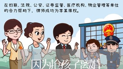 因为抢孩子离婚/2023121708069