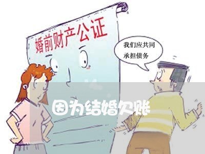 因为结婚欠账/2023100647350