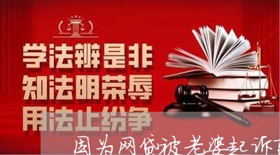 因为网贷被老婆起诉离婚了/2023110858393