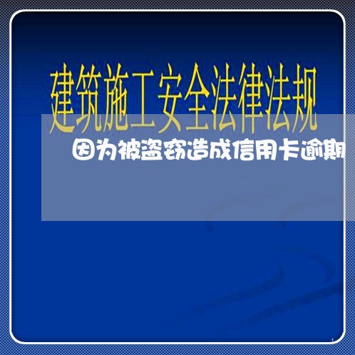 因为被盗窃造成信用卡逾期/2023120641493