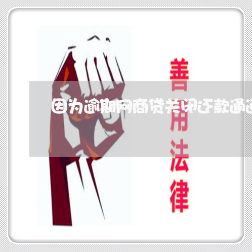 因为逾期网商贷关闭还款通道/2023110608284