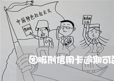 因服刑信用卡逾期可否免息/2023050172727