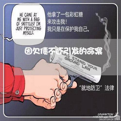 因欠债不还引发的命案/2023102472817