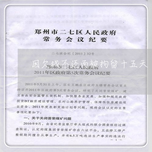 因欠钱不还而被拘留十五天/2023120970571