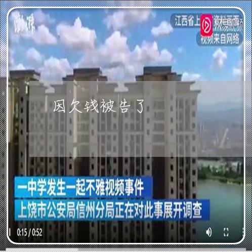 因欠钱被告了/2023100806079