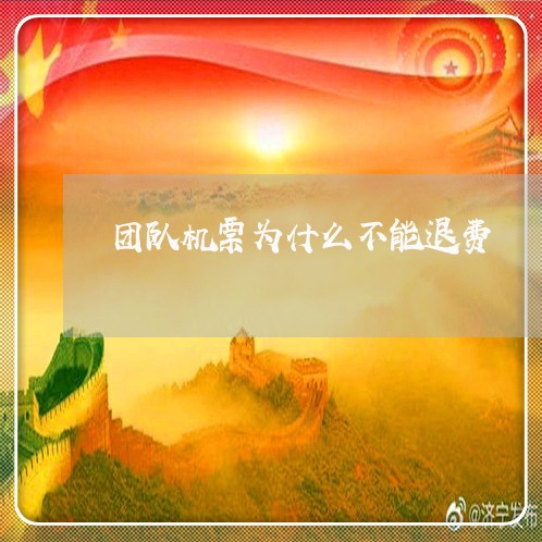 团队机票为什么不能退费/2023052171925