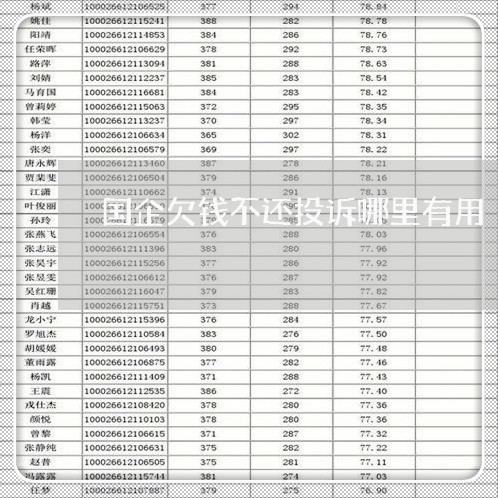 国企欠钱不还投诉哪里有用/2023111086148