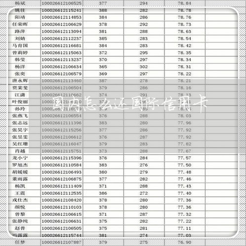 国内怎么还国际信用卡/2023082540686