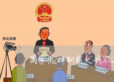 国家怎样制裁欠钱不还的人/2023102524847