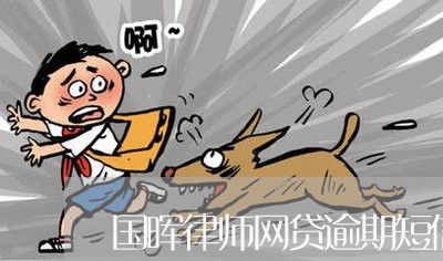 国晖律师网贷逾期短信/2023110629364