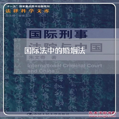 国际法中的婚姻法/2023081333603