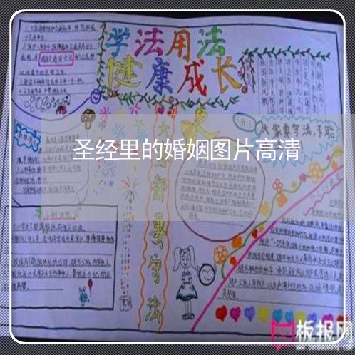 圣经里的婚姻图片高清/2023112873716