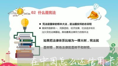 在中国怎么还信用卡美元/2023120456361