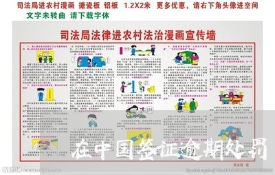 在中国签证逾期处罚/2023061071816