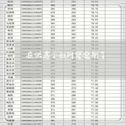 在供房子但网贷逾期了/2023110867260