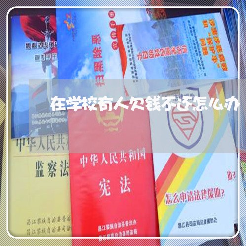 在学校有人欠钱不还怎么办/2023092784817