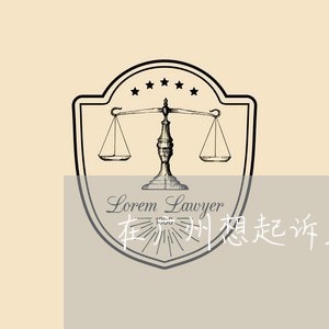 在广州想起诉欠钱不还流程/2023112392715