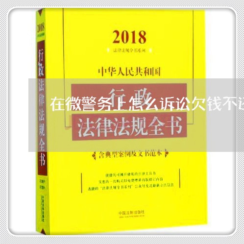 在微警务上怎么诉讼欠钱不还的人/2023092917049