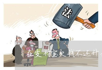 在支付宝欠钱不还什么后果/2023092894738